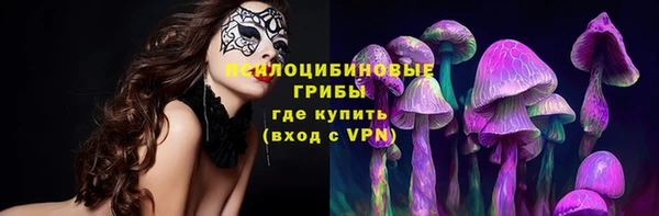 дмт Алексин