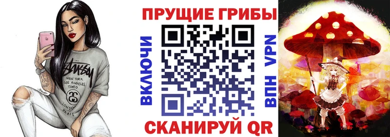 цена   Челябинск  Галлюциногенные грибы MAGIC MUSHROOMS 